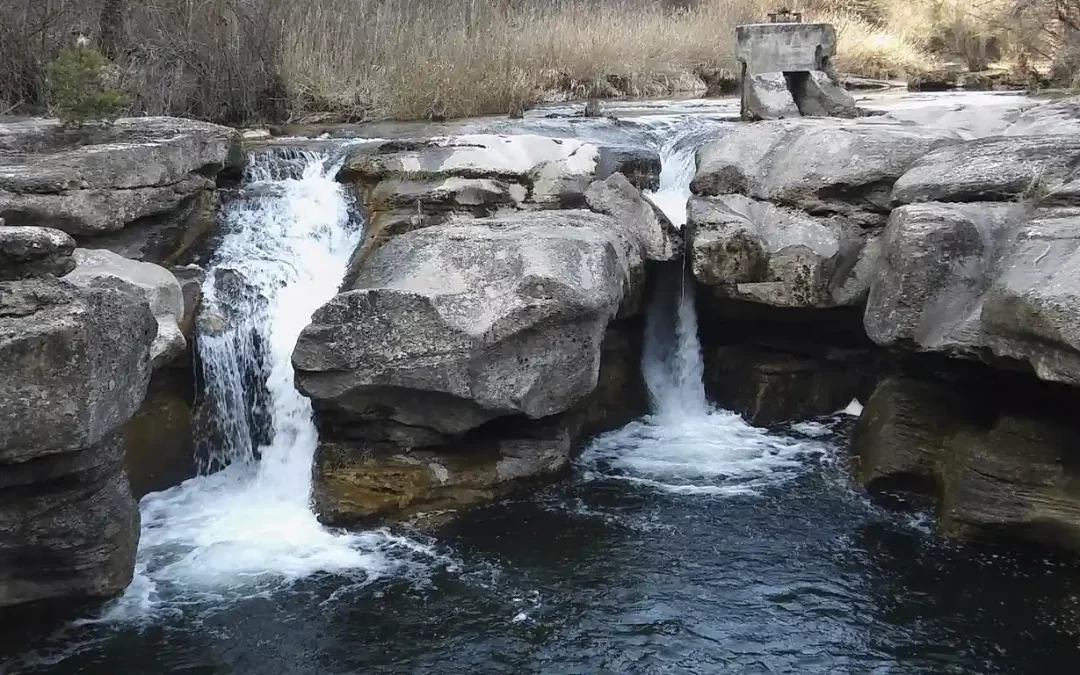 Retir Kali (ioga, natura i autolideratge)
