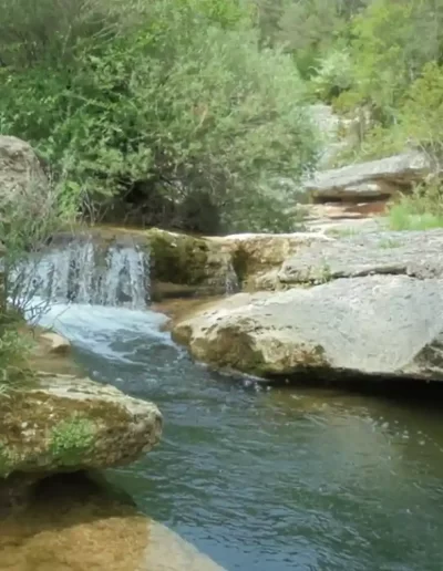 molina-de-la-quar